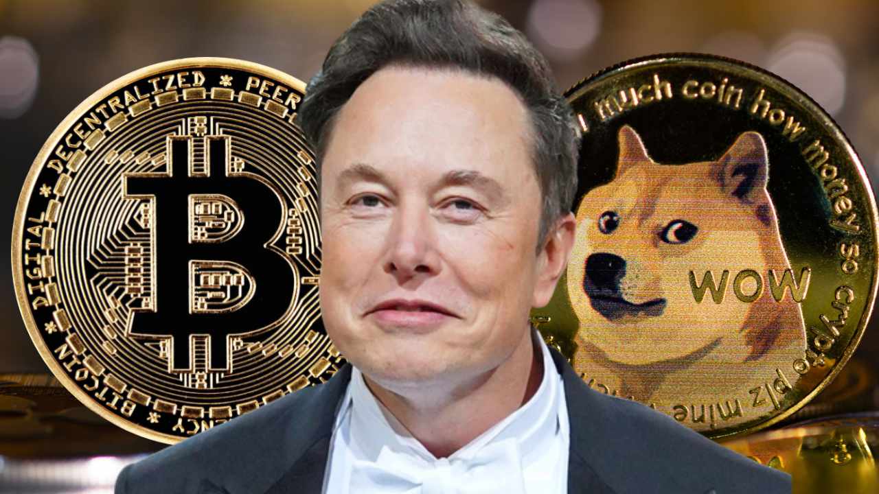musk-bitcoin-dogecoin.jpg