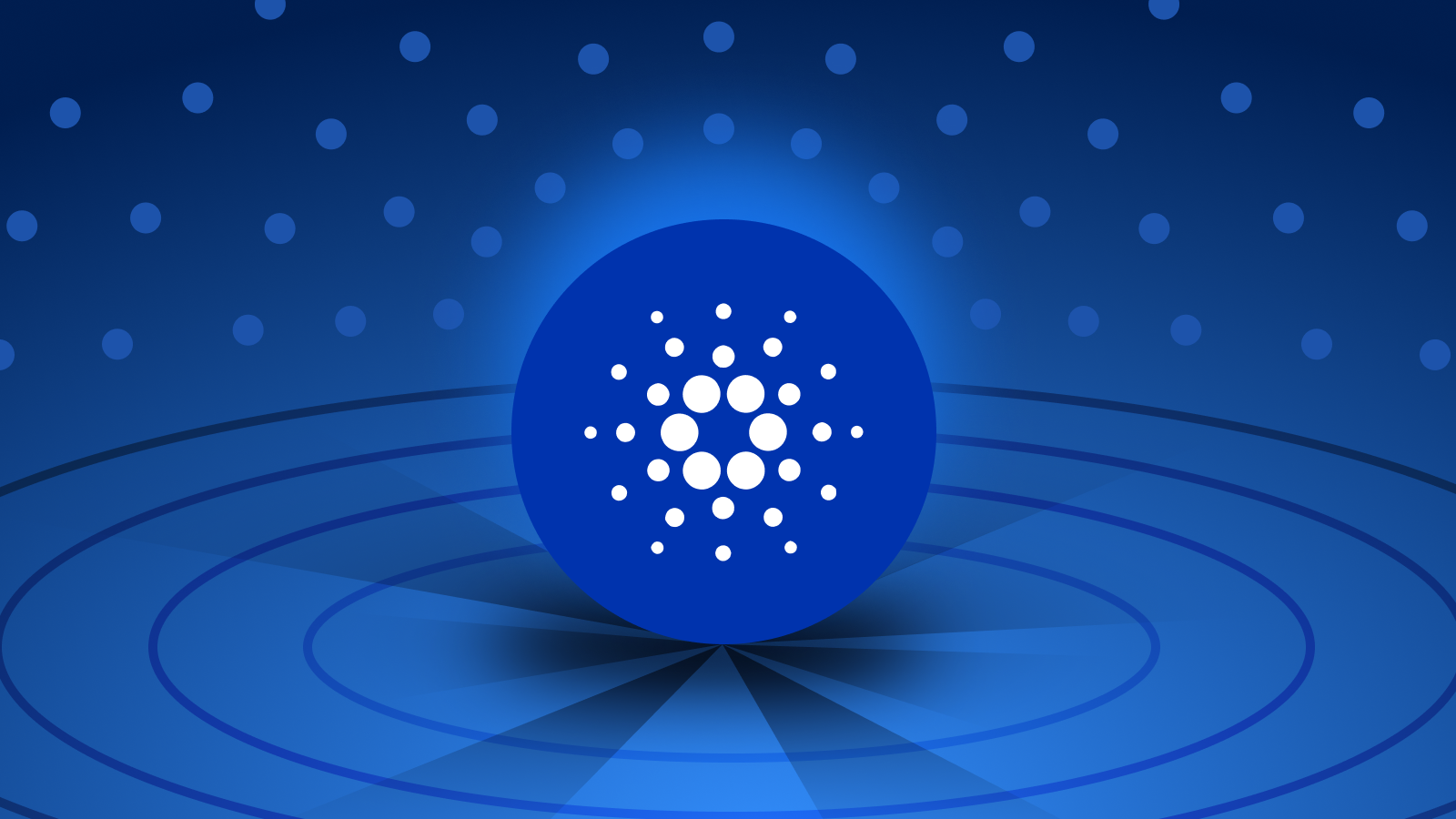 6628e286df1f461a86d25314c7204525.png